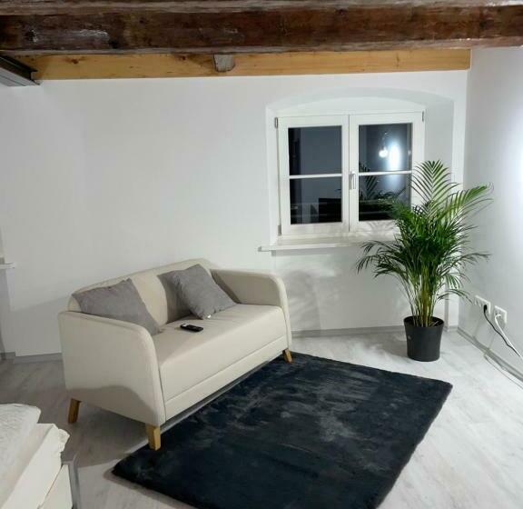 ユースホステル 24 7 Apartment Passau