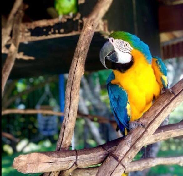 הוסטל Pousada Recanto São Jorge