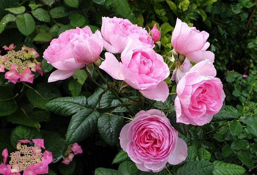 B&b Monumentaal Logeren