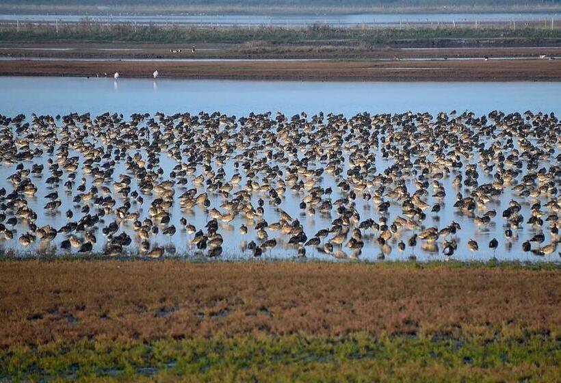 B&b Monumentaal Logeren