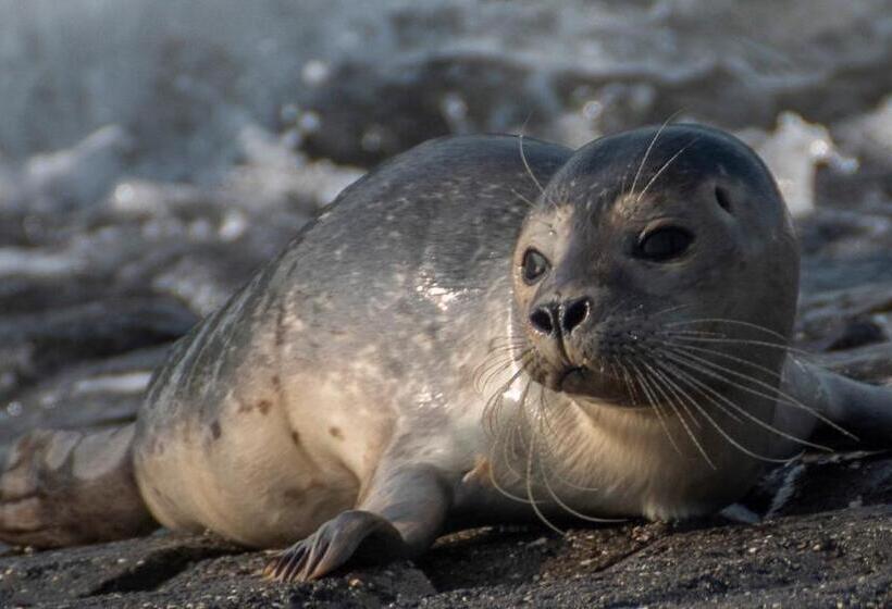 B&b Monumentaal Logeren