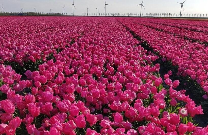 B&b Monumentaal Logeren