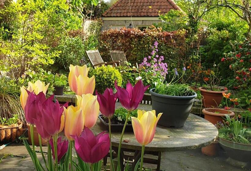 B&b Monumentaal Logeren