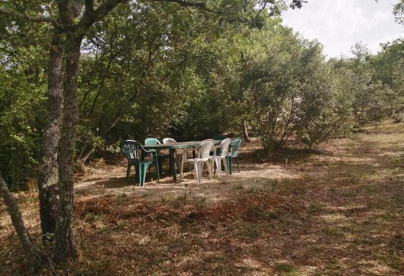 Bed and Breakfast Chez Tata