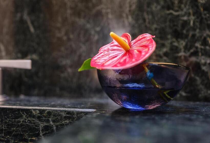 Bed and Breakfast Club64