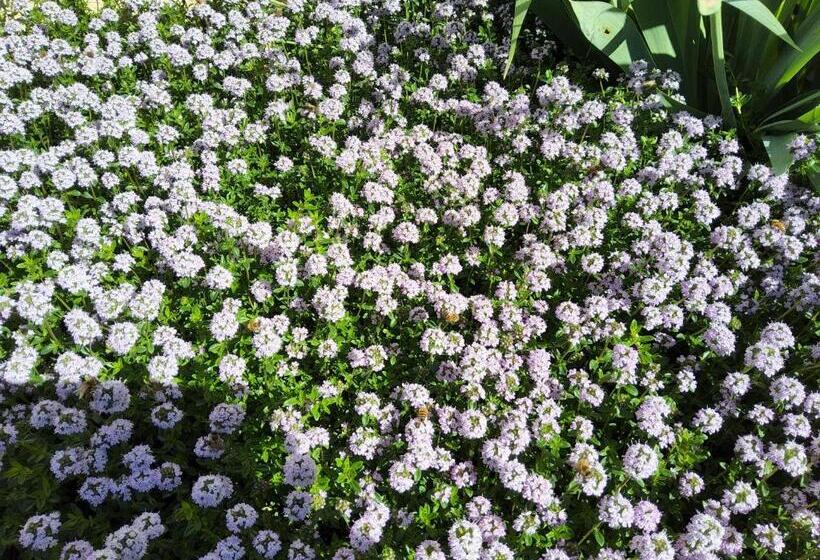 צימר Corte Martinola Bed&breakfast In Franciacorta