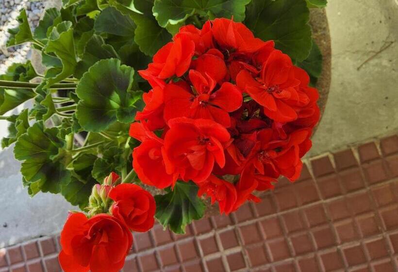 צימר Corte Martinola Bed&breakfast In Franciacorta