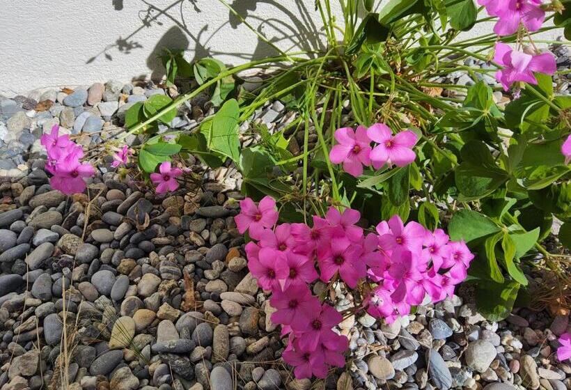 צימר Corte Martinola Bed&breakfast In Franciacorta