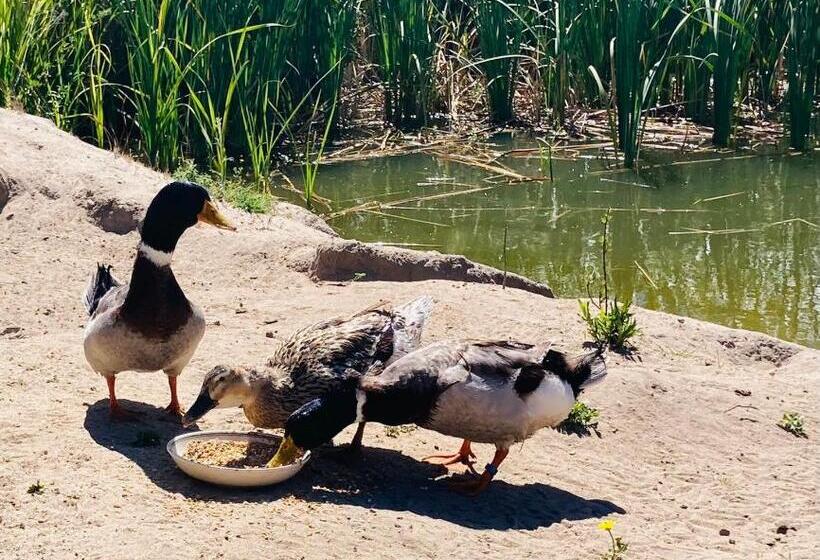 مبيت وإفطار Coru & Bentu