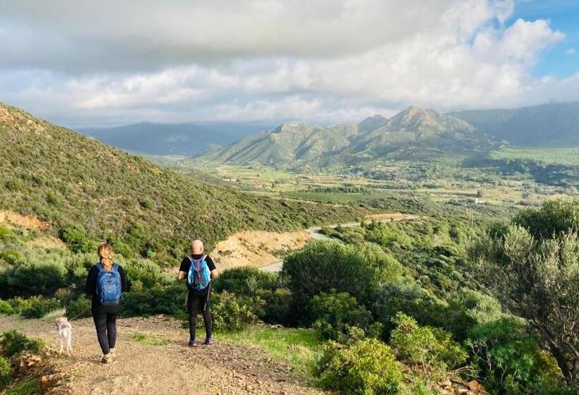 مبيت وإفطار Coru & Bentu