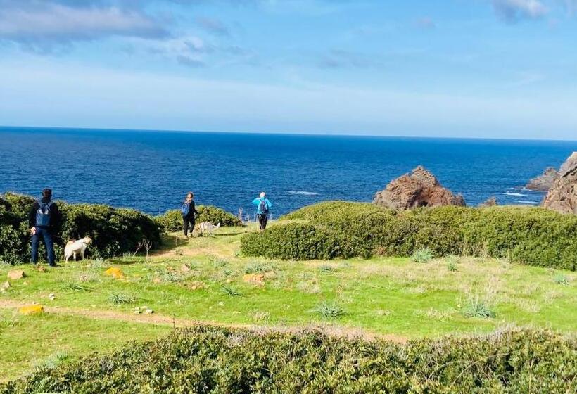 مبيت وإفطار Coru & Bentu