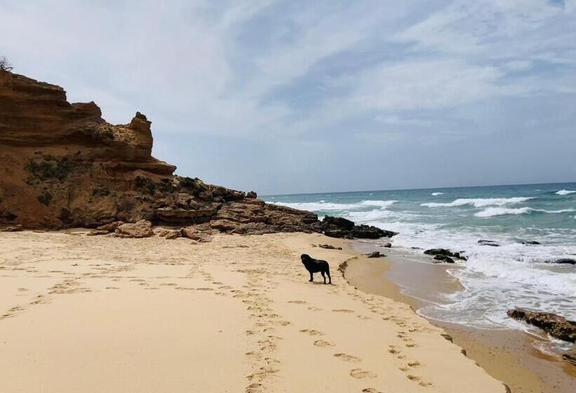 مبيت وإفطار Coru & Bentu