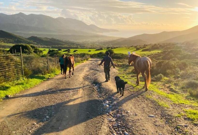 مبيت وإفطار Coru & Bentu