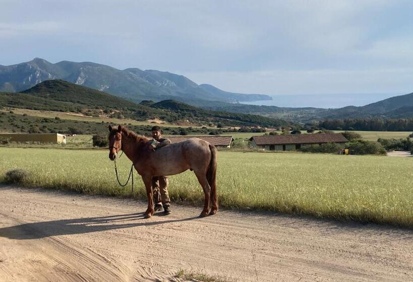 مبيت وإفطار Coru & Bentu