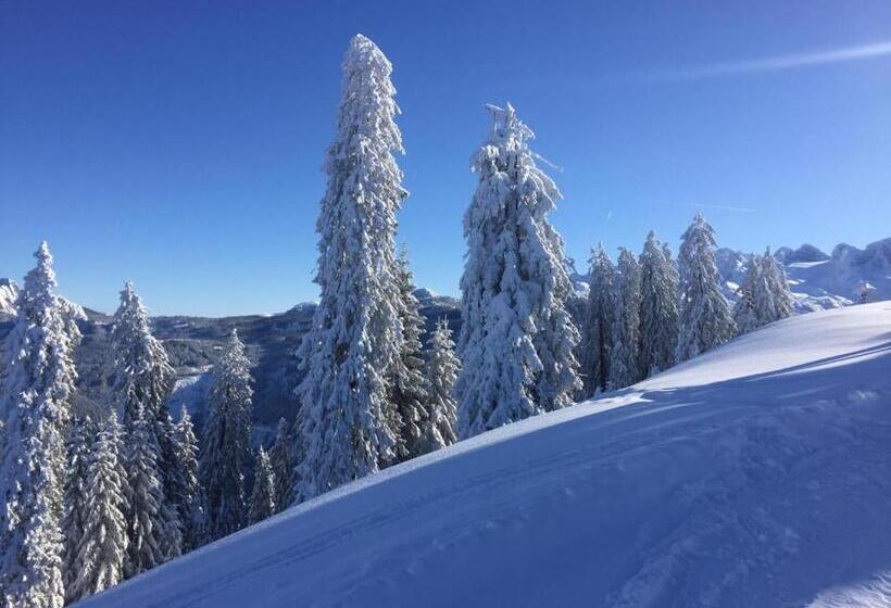 민박 Jeff S   Rooms With A Mountain View