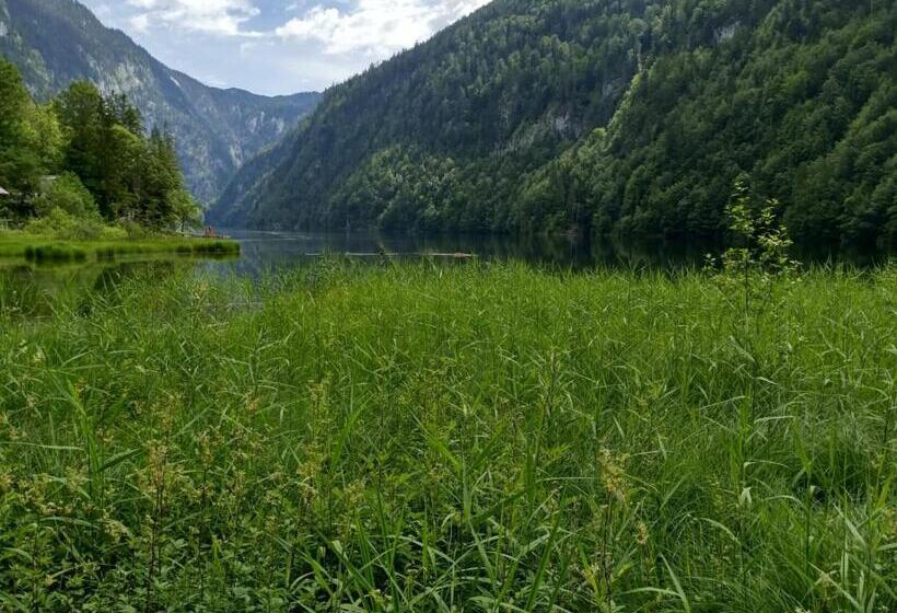 민박 Jeff S   Rooms With A Mountain View