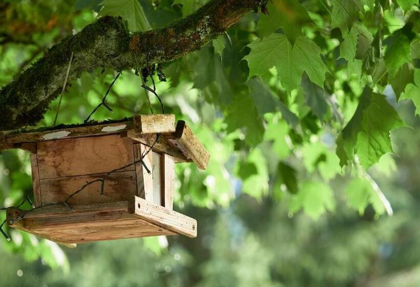 민박 Jeff S   Rooms With A Mountain View