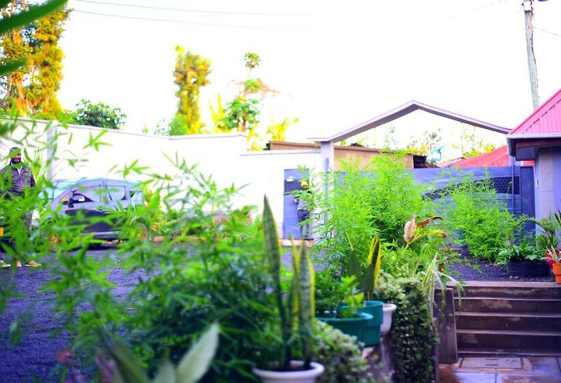 민박 Safari Park House