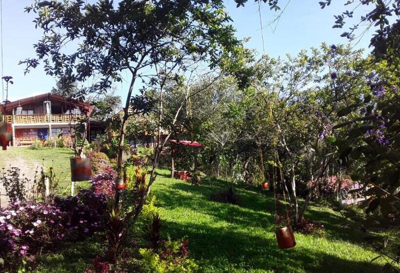 Eco Hotel Manu Viajeros