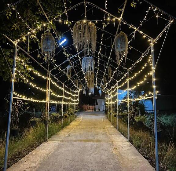 فندق C Code Resort