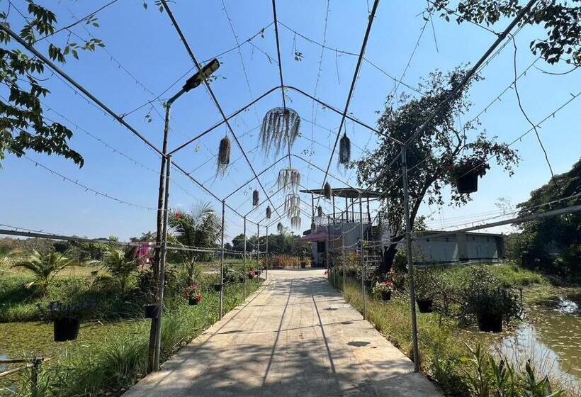 فندق C Code Resort