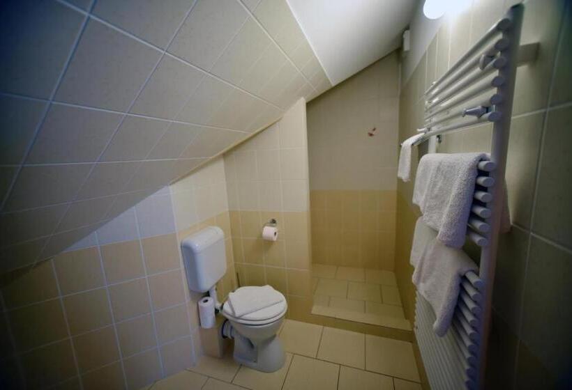 בית מלון כפרי Camelot Club