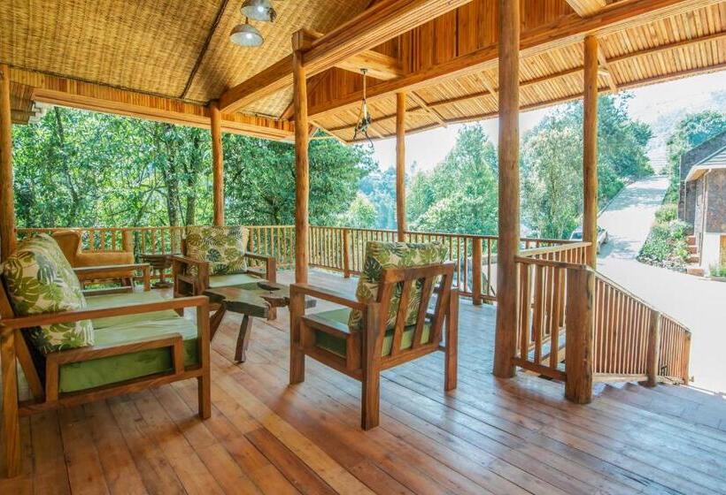 هتل Gorilla Leisure Lodge