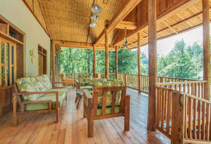 هتل Gorilla Leisure Lodge