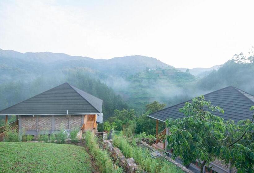 هتل Gorilla Leisure Lodge