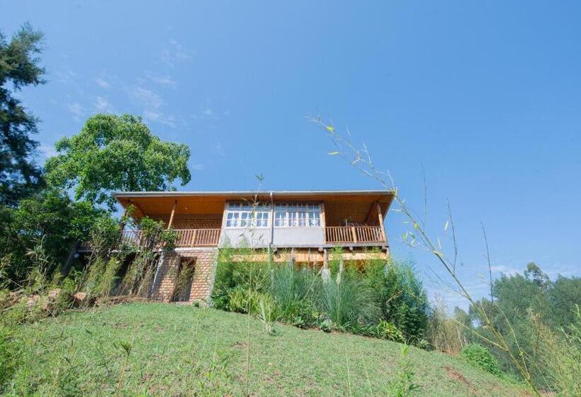 هتل Gorilla Leisure Lodge