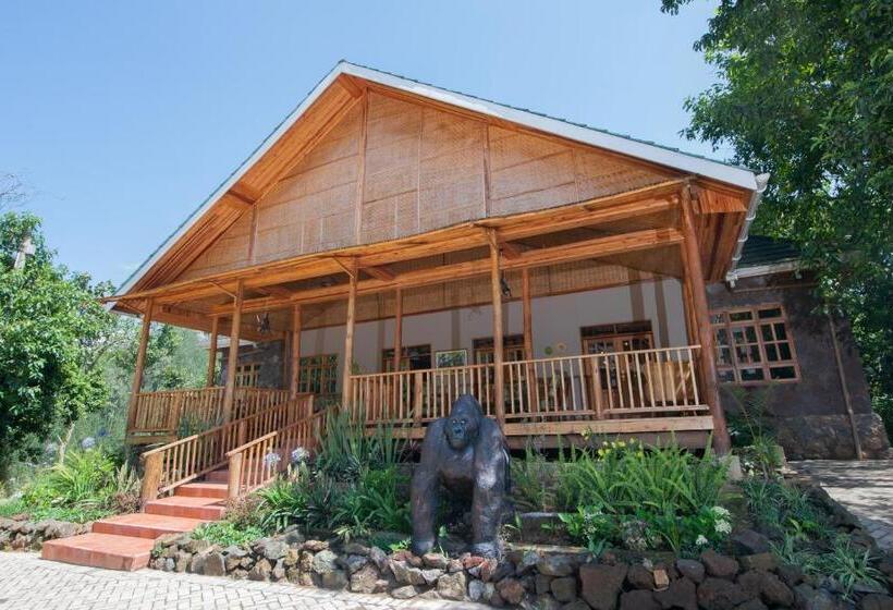 هتل Gorilla Leisure Lodge