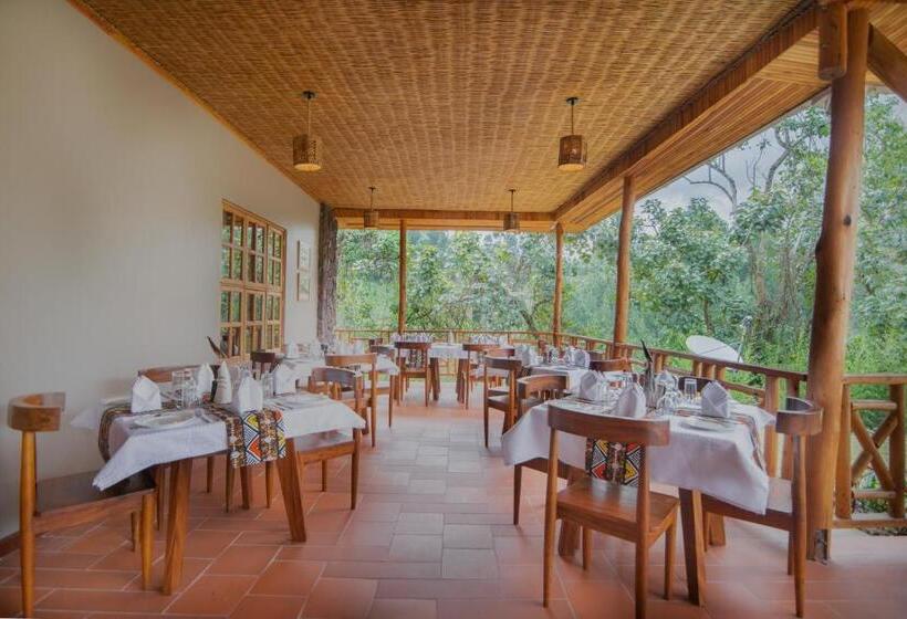 هتل Gorilla Leisure Lodge