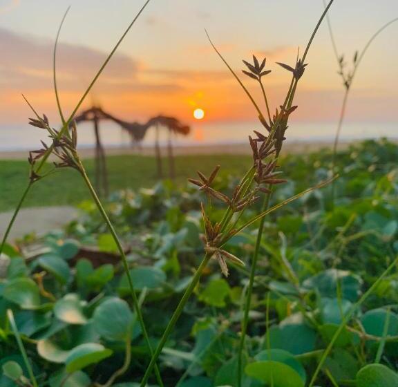 Kavin Beach Hotel Hikkaduwa
