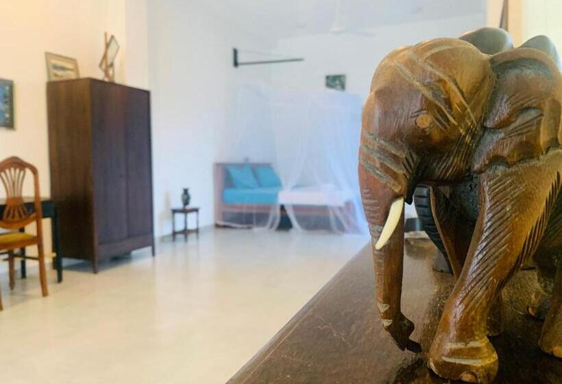 Kavin Beach Hotel Hikkaduwa