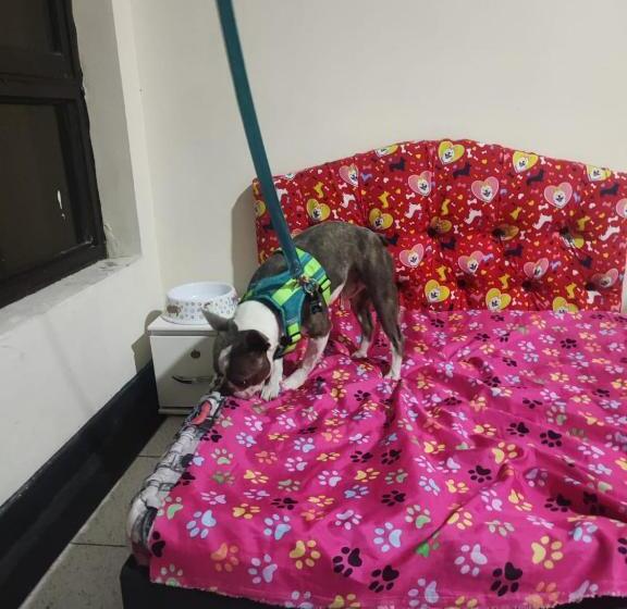 酒店 La Gran Mansión En El Corazón De Pereira