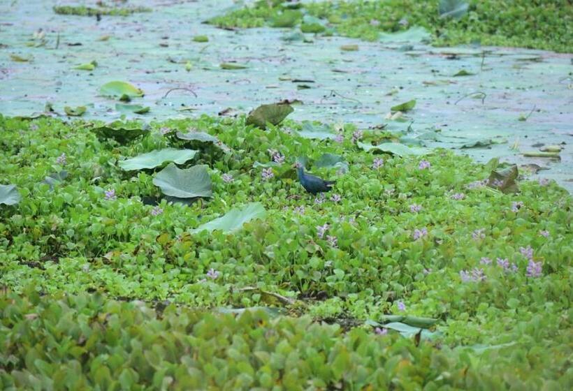 ホテル Margosa Mountain Villa