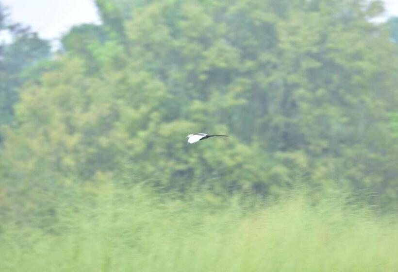 ホテル Margosa Mountain Villa