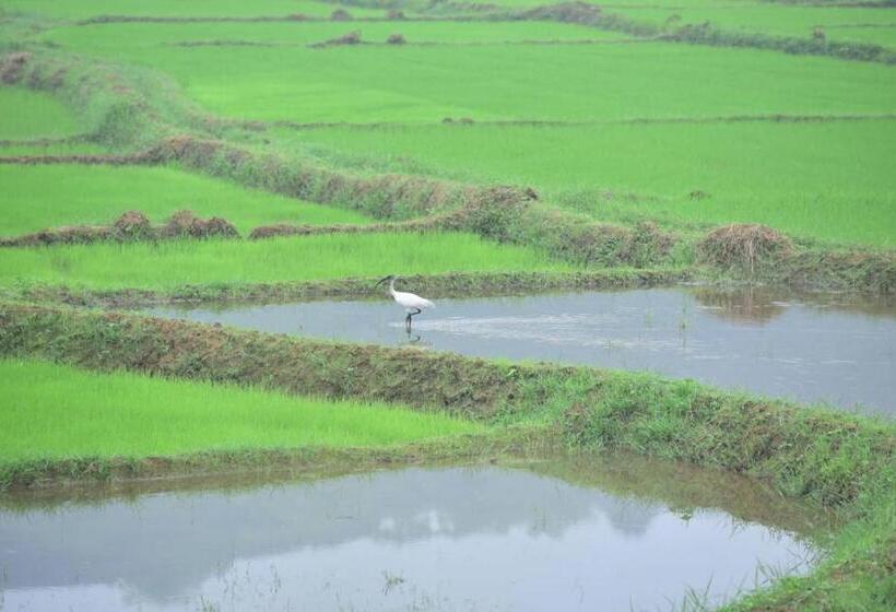 ホテル Margosa Mountain Villa