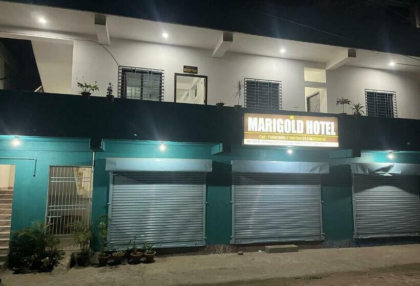 Отель Marigold