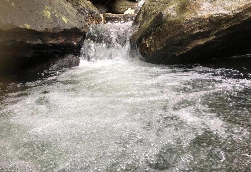 ホテル Palabaddala Tea And Eco Lodge