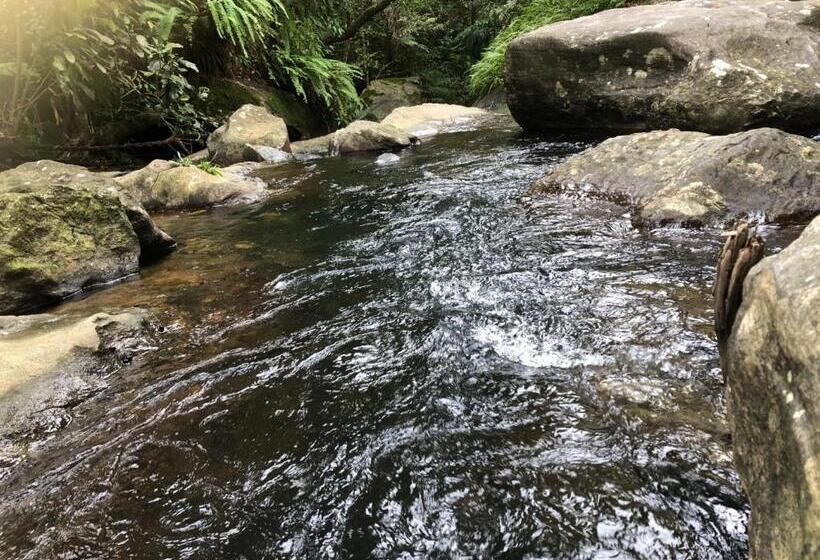 ホテル Palabaddala Tea And Eco Lodge
