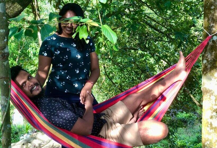 ホテル Palabaddala Tea And Eco Lodge