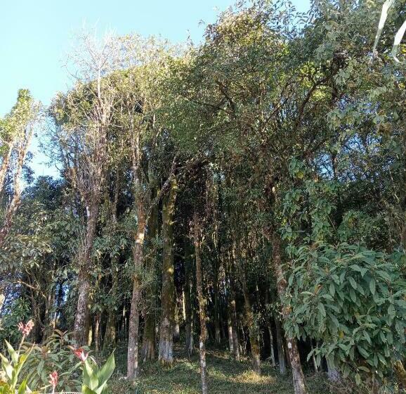 فندق Phube Homestay