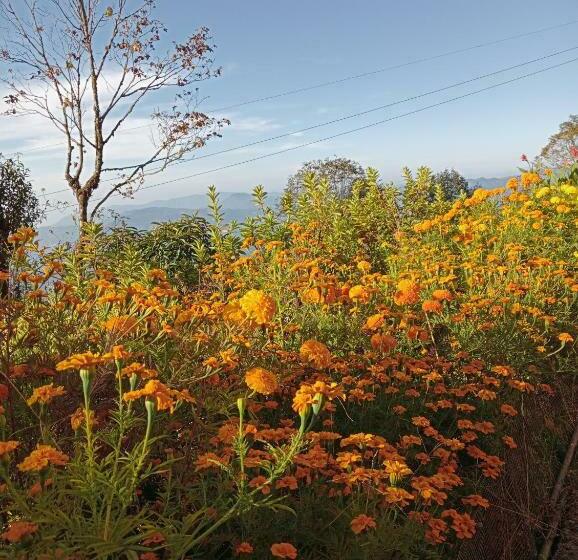 בית מלון כפרי Phube Homestay