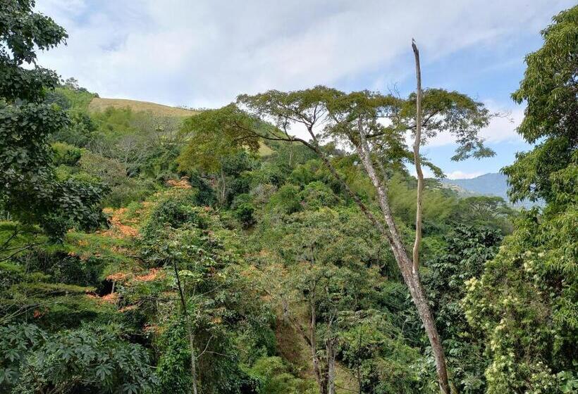 Отель Villa Paz D F