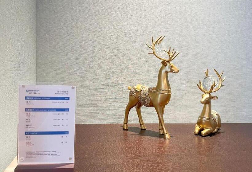 Отель Wyndham Handan Congtai