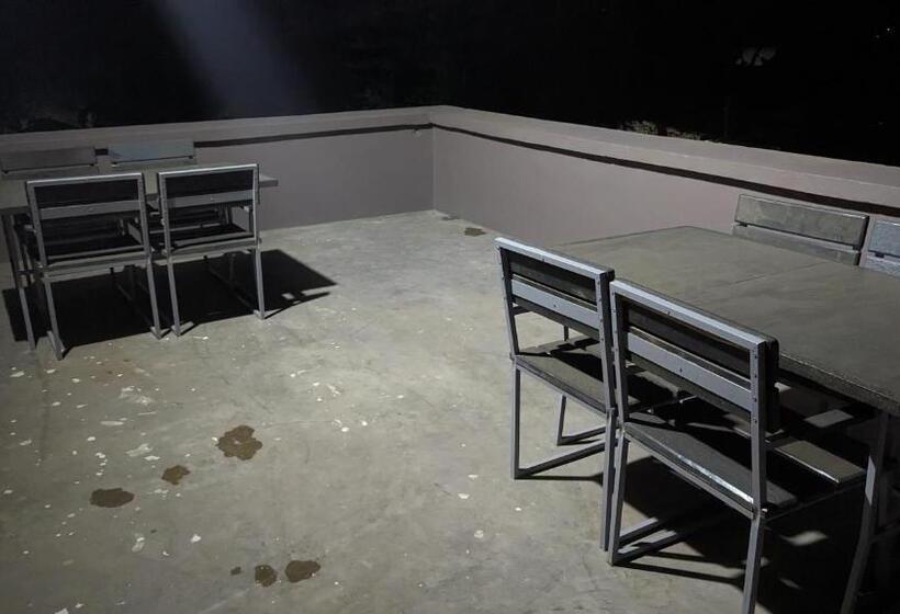 Mufasa City Hostel And Apartments