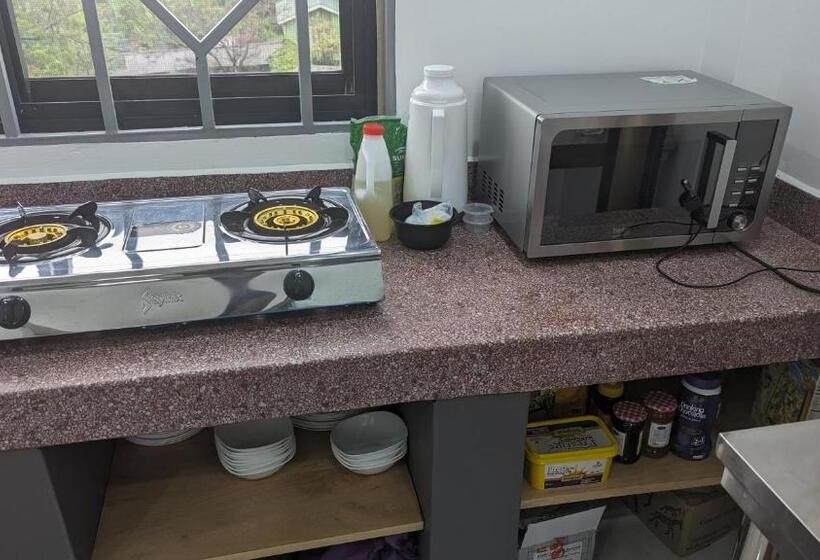 Mufasa City Hostel And Apartments