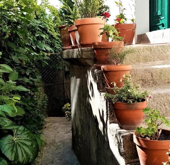 پانسیون Casa Da Judiaria Velha