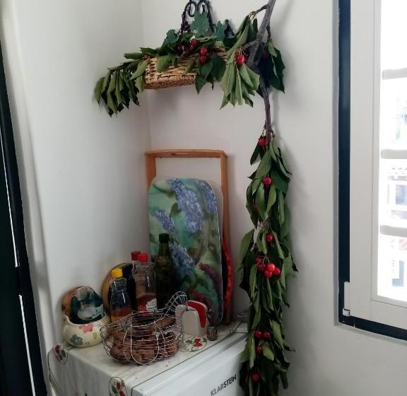 پانسیون Casa Da Judiaria Velha